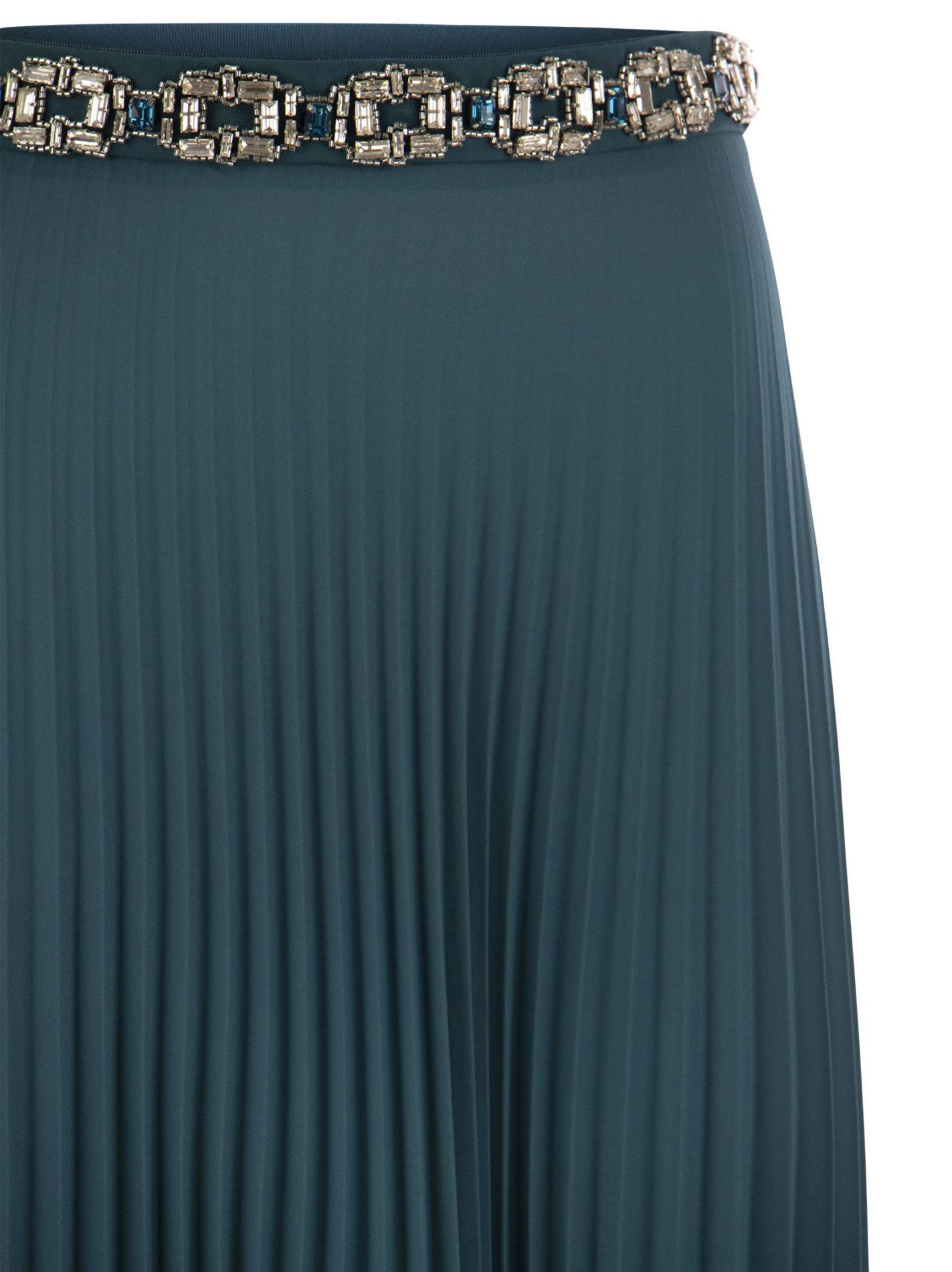 Gonna lunga plissettata in georgette con ricamo