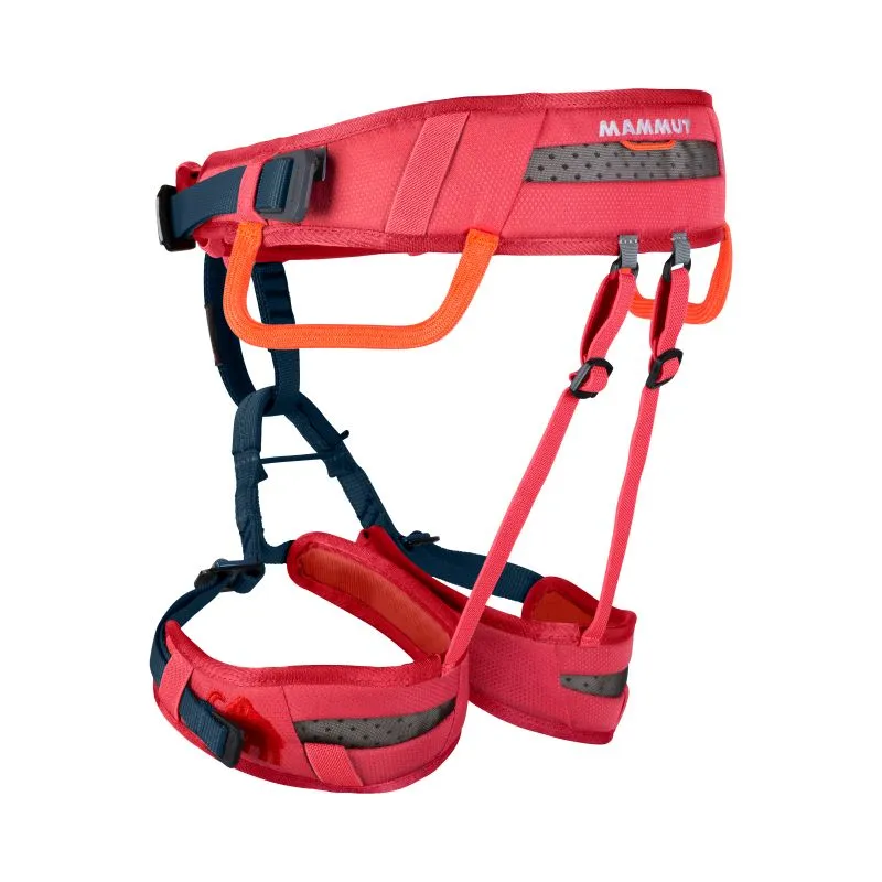 Imbracatura per bambini Mammut Ophir Kids (crespino)