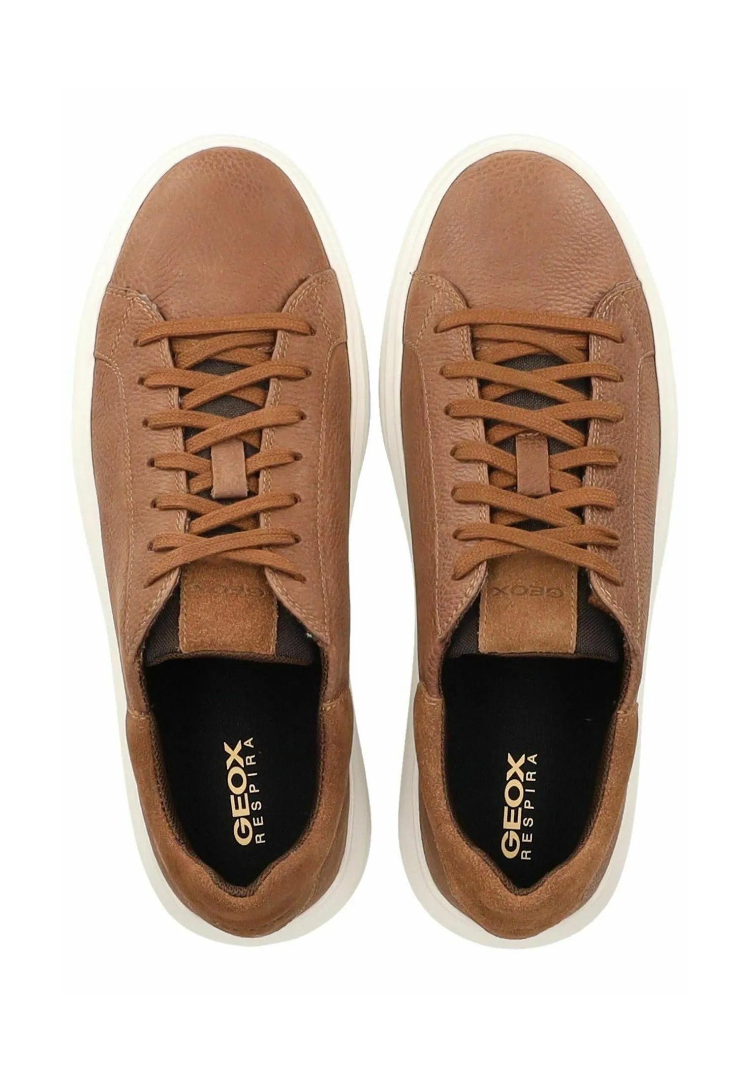 Sneakers basse